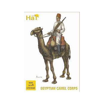 EGYPTIAN CAMEL CORPS  BRITISH ARMY XIX C.